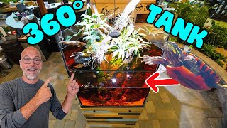 $25,000 Custom Tank for Our Baby Turtles! Part 2