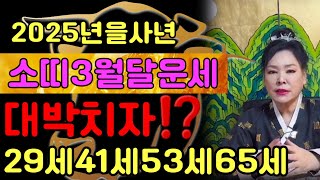 🔮2025년을사년 소띠 3월달 나이별운세? 힘드었던 만큼 이제는 보상 받는다.☎️010 3433 3931