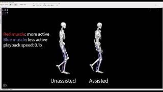 Sim2BiLLEE: Testing simulation-based exoskeleton assistance experimentally