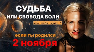 матрица судьбы. о чем говорит дата рождения 2 ноября. цель и ресурсы для ее достижения.