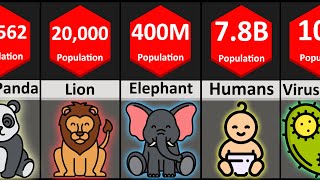 Comparison: Animal Population Size