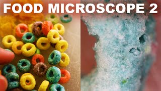 Bread, cereal and snacks under a microscope