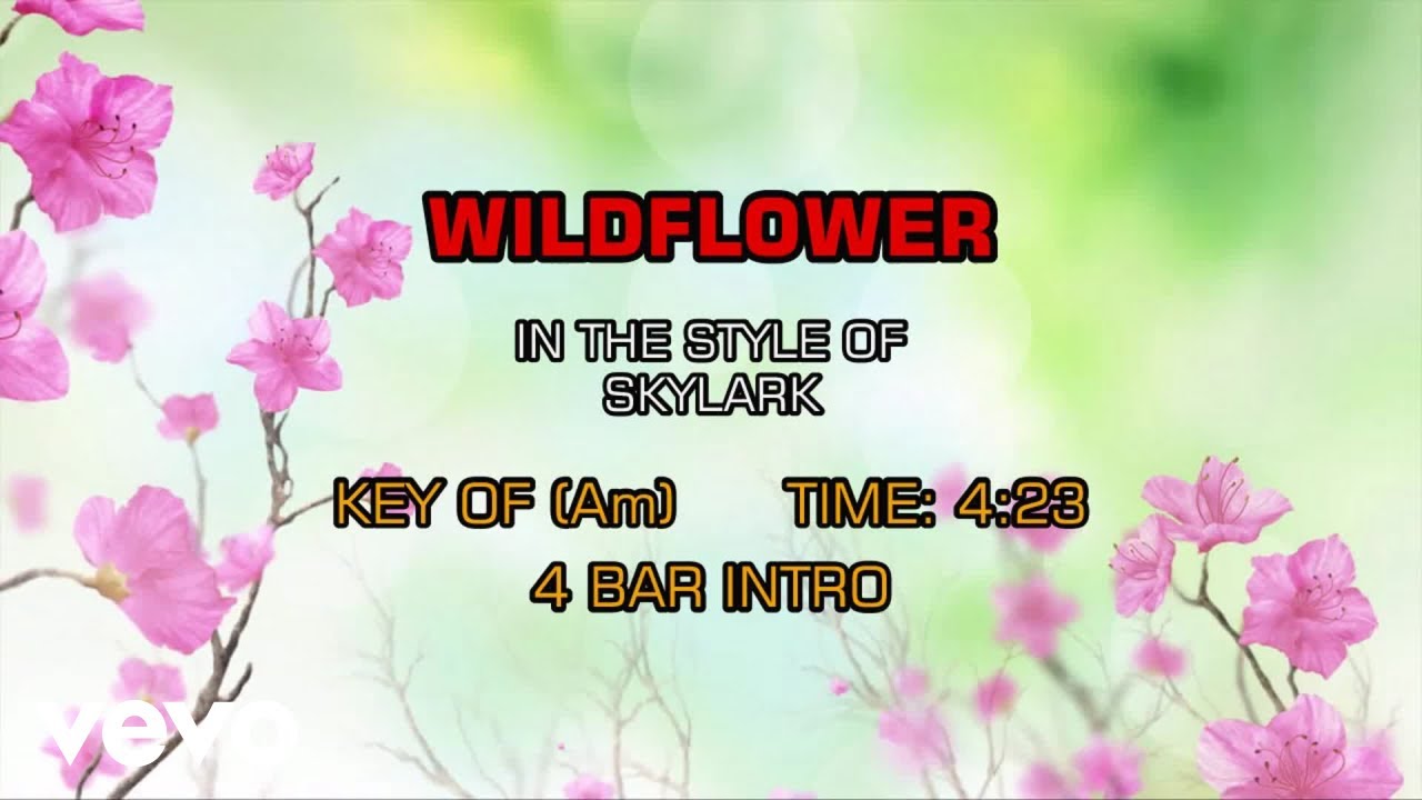 Skylark - Wildflower (Karaoke) - YouTube