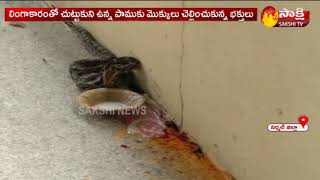 Python Entered In Basara Saraswati Temple |నాగుల పంచమి రోజున... బాసర సరస్వతి ఆలయంలో కొండచిలువ కలకలం