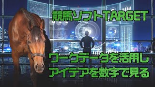 【リクエスト回答動画】競馬ソフトTARGETのワークデータで騎手の1日騎乗数別成績を調べてみる【画面収録実践】