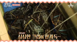 (이 크기 실화야..?)유이가 추천하는 어마무시한 크기의 크랩 맛 집?!   | 비행기 타고 가요 시즌2 12 회