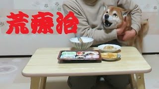 柴犬まめの大胆すぎる盗み食いへの荒療治