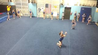 Port City Gymnastics Team Demo 2013