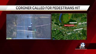 Coroner called after two pedestrians hit by vehicle in Pickens County