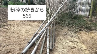 566.夫婦で京都みたいな竹林を作ろう！粉砕の続き