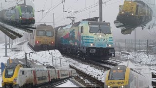 treinen in de sneeuw in hasselt en diest op 11/01/2025 *veel carco *❄️🌨#treinleven