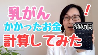 乳がん治療にかかった医療費を計算してみた。治療２年めと治療開始初年を比較。