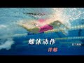 美女杨一蝶泳动作文字详解