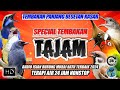 #4 MASTERAN MURAI BATU SPECIAL FULL TEMBAK PANJANG | Murai batu, Cucak ijo, Kacer, Cendet 🔥