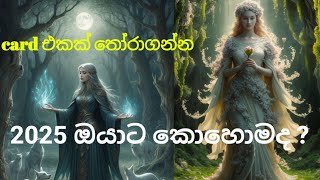 2025 ඔයාගේ බලාපොරොත්තු ඉෂ්ඨවෙන්නයි යන්නේ... | #1111 #lawofattraction #manifestation