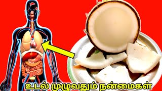 தேங்காய் சாப்பிடுவதால் உடலில் ஏற்படும் நன்மைகள்/The benefits of eating coconut in Tamil/Village Tips