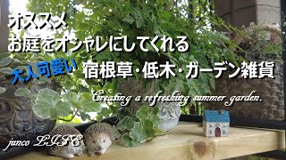 ローズガーデン・カネコさんで素敵なお買い物＊夏の庭を飾る＊猫