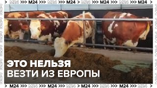 Это нельзя везти из Европы— Москва 24