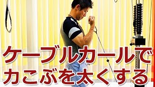 上腕二頭筋を鍛えるケーブルカールの方法とポイント／筋トレ実践講座