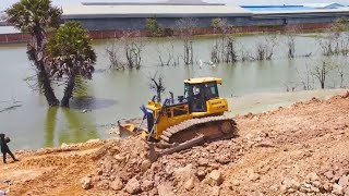 Great Team Work! Fill 2nd Layer of soil Process by Dump Truck with Dozer SHANTUi push clearing land