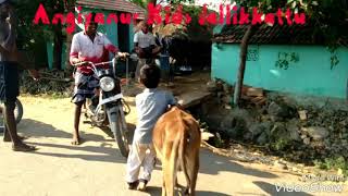 Angiyanur kids jallikkattu