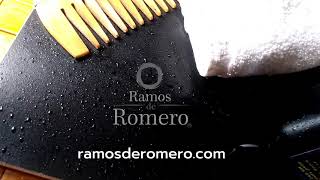 Ramos de Romero Shampoo Anticaída