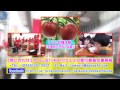 第2回やつしろtomatoフェスタcm（30秒）