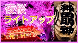 幻想的な神田明神桜ライトアッププロジェクト🌸新月パワー✨　厄除け、縁結び