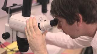 Science careers - Geologist