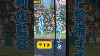 みんな大好き新庄監督 ##プロ野球 #甲子園 #阪神タイガース #npb #神戸 #大阪 #阪神 #関西 #兵庫県 #野球 #日ハム#新庄監督 #新庄剛志 #岡田監督