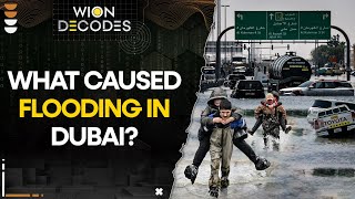 Dubai Floods: What caused flooding in Dubai? I WION Decodes