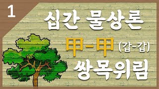 [십간 물상론 1강] 甲(갑)-甲(갑) 쌍목위림(雙木爲林)