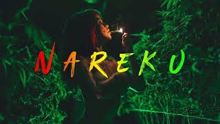 Nareku - Ragga Mix (Reggae, Raggastep, Dub)_HD