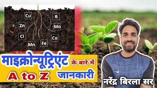 पौधों को माइक्रो न्यूट्रिएंट्स कब देवें🔥 Micronutrients Deficiency Symptoms in Plants||