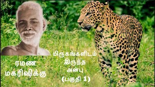 ரமண மகரிஷிக்கு மிருகங்களிடம் இருந்த அன்பு (பகுதி 1)~வெறும் கதைகள் இல்லை; நாம் கற்றுக் கொள்ள பாடங்கள்