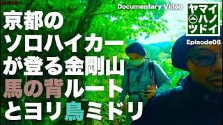 ＼ヤマイロハノツドイ／京都ソロハイカーが登る金剛山！馬の背ルートとヨリ鳥ミドリ YT-157