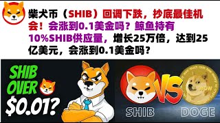 柴犬币（SHIB）回调下跌，抄底最佳机会！会涨到0.1美金吗？鲸鱼持有10%SHIB供应量，增长25万倍，达到25亿美元，最初投资仅1万美元，会涨到0.1美金吗？#shib币#柴犬币#屎币行情分析