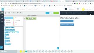 CodeHS- Overview