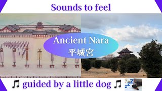 【 World Heritage with original music 】Feel eternal life in Heijo-kyu, Ancient Nara Palace, Japan