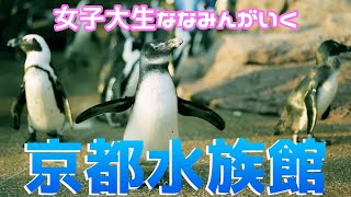 【女子大生】🐬京都水族館魅力を伝えます🐧【ペンギン・イルカ】