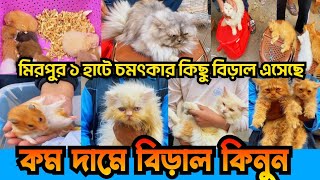 buy cat at low price..persian cat price in bangladesh..cat price in bangladesh..mirpur 1 pakhir hat