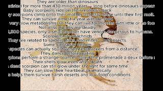 weird facts about Scorpio.