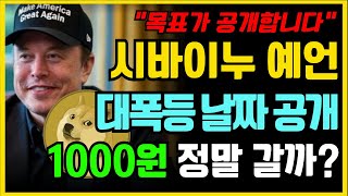 시바이누 역대급 기회, 1000원 돌파 가능?!