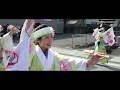 よんでんよさこい３　土佐山田祭り２０２４　４ｋ