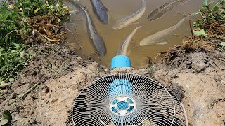 Amazing!! Girl Make Deep Hole Fish Trap Using PVC And Electric Fan Guard To Catch A Lot of Fish