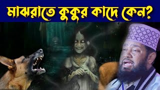 মাঝরাতে কুকুর কাদে কেন? আল্লামা তারেক মনোয়ার নতুন ওয়াজ