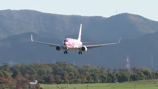 信州まつもと空港　那覇～松本チャーター便　B737-800着陸