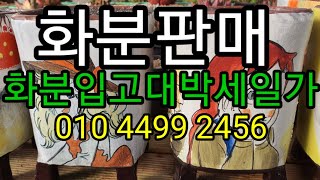 @화분판매 새로입고대박할인특가 010 4499 2456  5만미만은 택비4000냥 주문은 문자로주세요