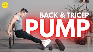 Back and Tricep Workout With Dumbbells - Upper Body Workout At Home