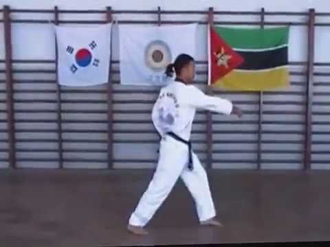 Taekwondo Poomsae 1 - 8 - YouTube